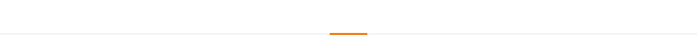 公司五大优势